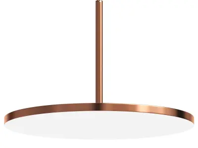 Limb PDNT Centrsvet 3D model