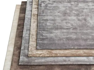 The rug company rugs 3d model Low-poly 3D model