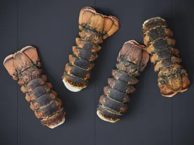 Atlantic Lobster Tails 8 Models