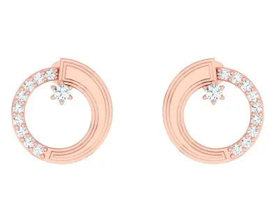 Light wt Women Diamond Earrings  3D print model