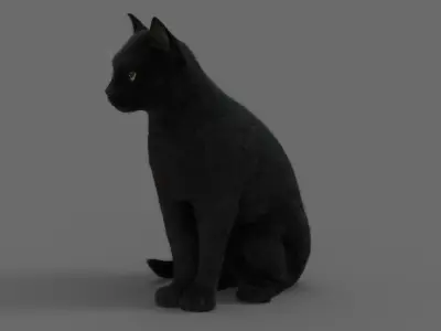  Cat (2) (Black) (ANIMATED) (FUR) 