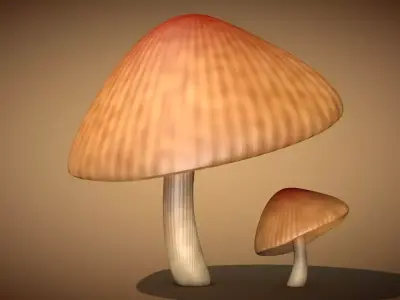 Mushroom 3 two mushrooms Low-poly 3D model