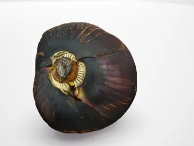 Banana Flower - Photorealistic Scan Low-poly 3D model