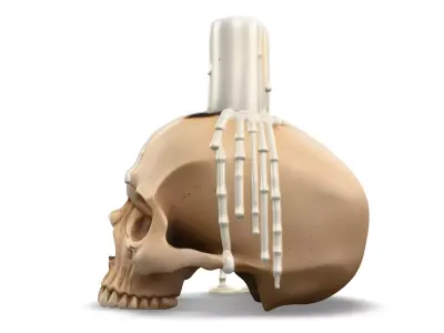  Skull with a Melting Candle Free low-poly 3D model