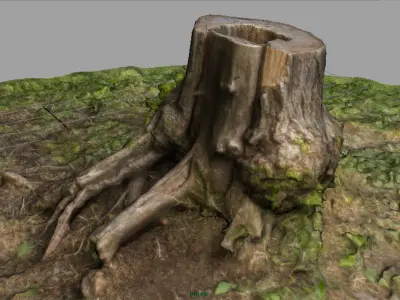 Tree Stump 4 3D model