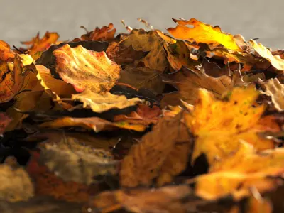 Autumn Old Leaves Trash Low-poly 3D model