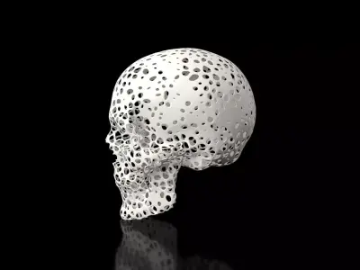 Skull Voronoi Low-poly 3D model