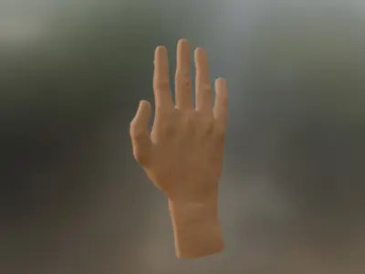 Almost realistic hand model Game-ready 3D model
