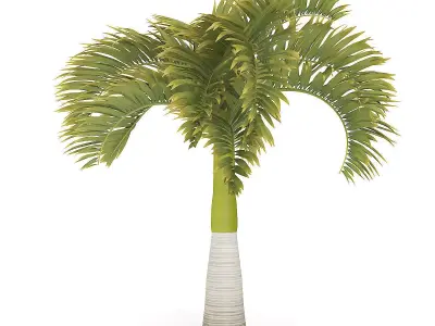 Christmas Palm Tree 3D model
