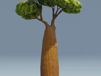 Cartoon Baobab Tree 3D Model Low-poly 3D model