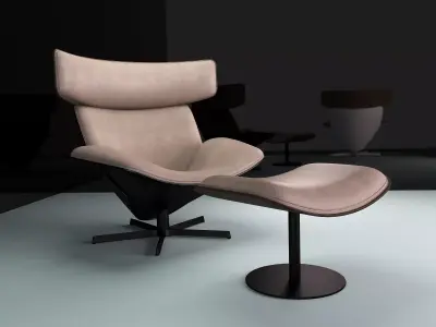 Almora lounge chair and ottoman 3D model