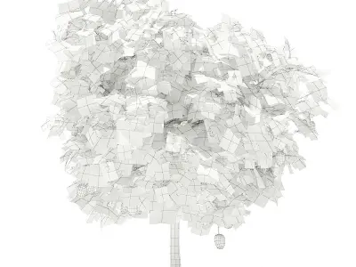 Mango Tree with Fruits 3D model