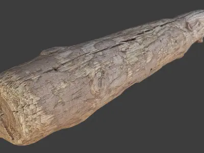 Wood Log Low-poly 3D model