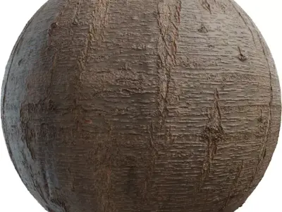 Realistic Tree Bark PBR Texture Texture