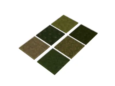 Grasses Set 3D model