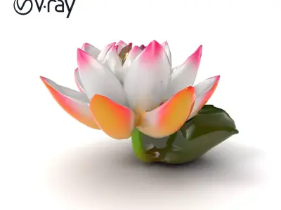 Tiger Water Lily Nymphaea Lotus Detailed Texture Model Pack Low-poly 3D model