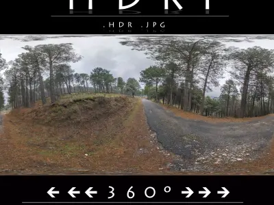 HDRI Road in Forest Cloudy Morning 3D model