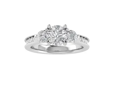 Women Ring  Render 3dm STL OBJ FBX TXT Details 3D print model order