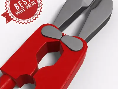 Cutter pliers 3D model