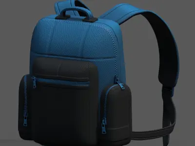 Backpack bag baggage Color 3d low poly Low-poly  3D model purchase