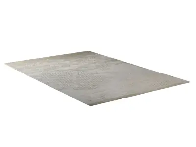 Scales Pearl rug 3D model