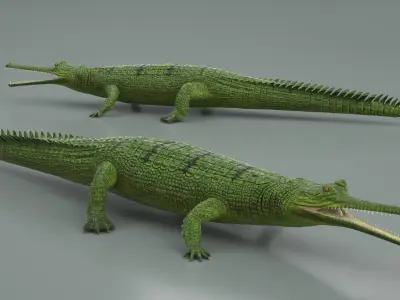  Green Long Snouted Gharial Crocodile 
