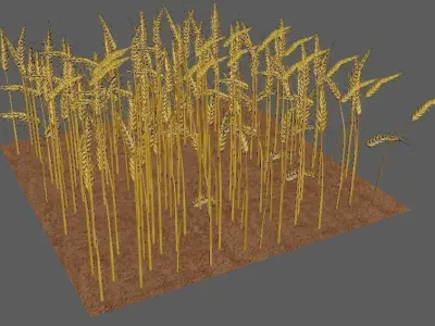 wheat Field 3D 3D model