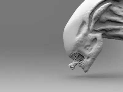 Alien Xenomorph Head Inner Mouth Inside Accessory   3D print model