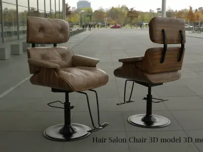 Hair Salon Chair 3D model 3D model 3D model
