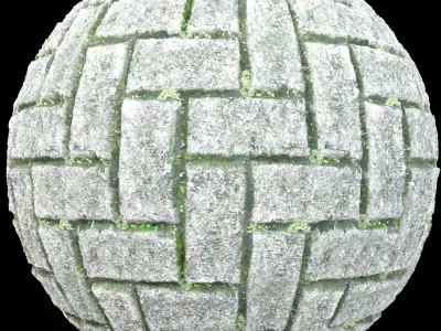 Heringbone Mossy pavers texture Floor Texture