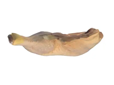Chicken Leg Free 3D model