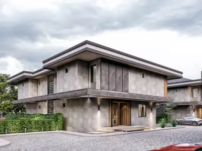 Villa 3D  Exterior Scene  3D model