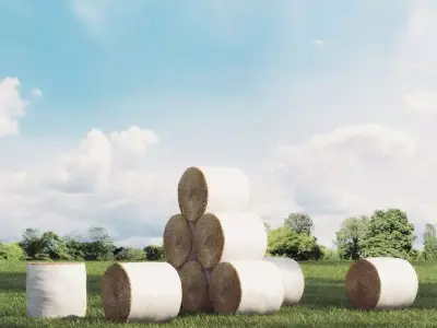 bales 15 am 146 3D model