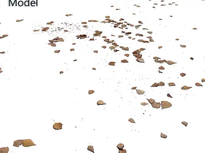 Autumn leaves Decal scan 3D model