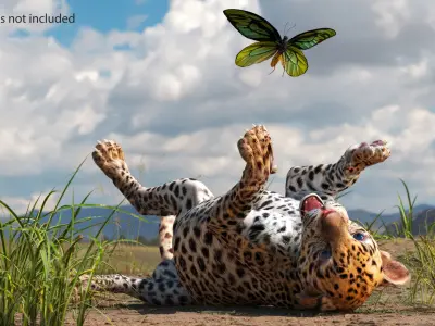 Playful Leopard Cub with Butterfly 