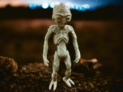 Varginha Alien 3D print model