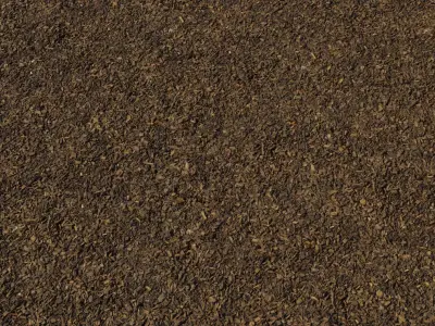 Dark Bark Mulch Ground PBR Texture 4K Texture