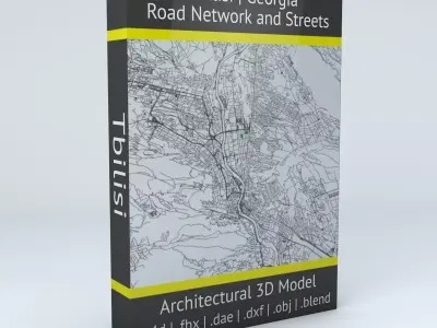 Tbilisi Road Network and Streets 3D model