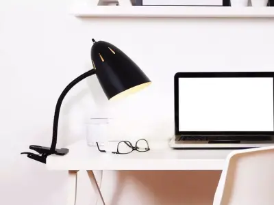 Alleyne Black Clip On Lamp Free 3D model