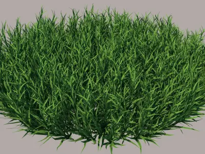 Fine Fescues 3D model