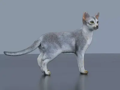 Slender Cat Low-poly 3D model