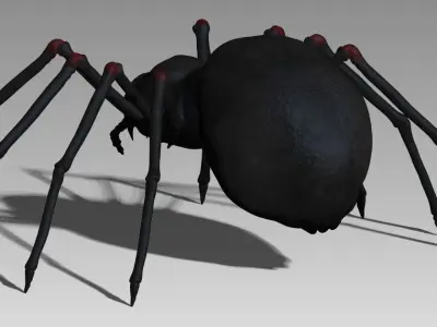 Black spider Low-poly 3D model