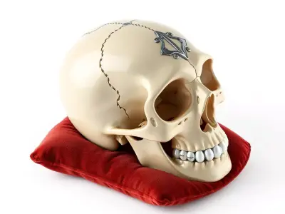 Ornate Stylized Skull with Velvet Pillow Low-poly 3D model