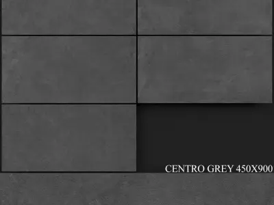 Zeus Ceramica Centro Grey 450x900 3D model