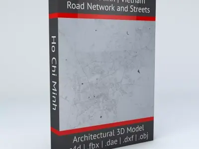 Ho Chi Minh Road Network and Streets 3D model