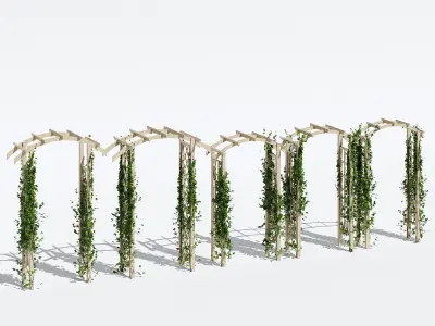 Garden arches two 3D model