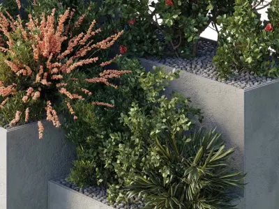 Garden Plants Flowers Box - Outdoor Plants 212 3D model