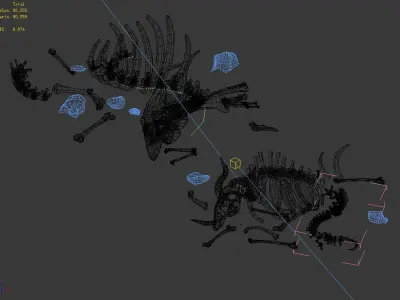 Sea bottom - animal wreckage 06 3D model