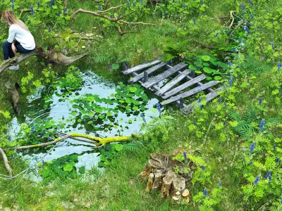 Small Pond -  Full Model Sketchup - V-ray Render 3D model