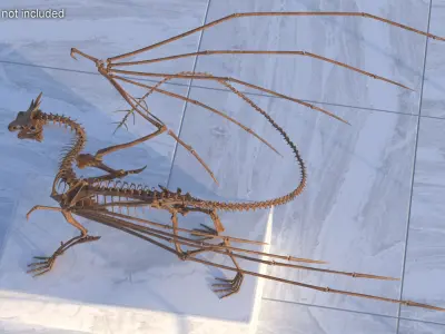 Petrified Dragon Skeleton Posed 